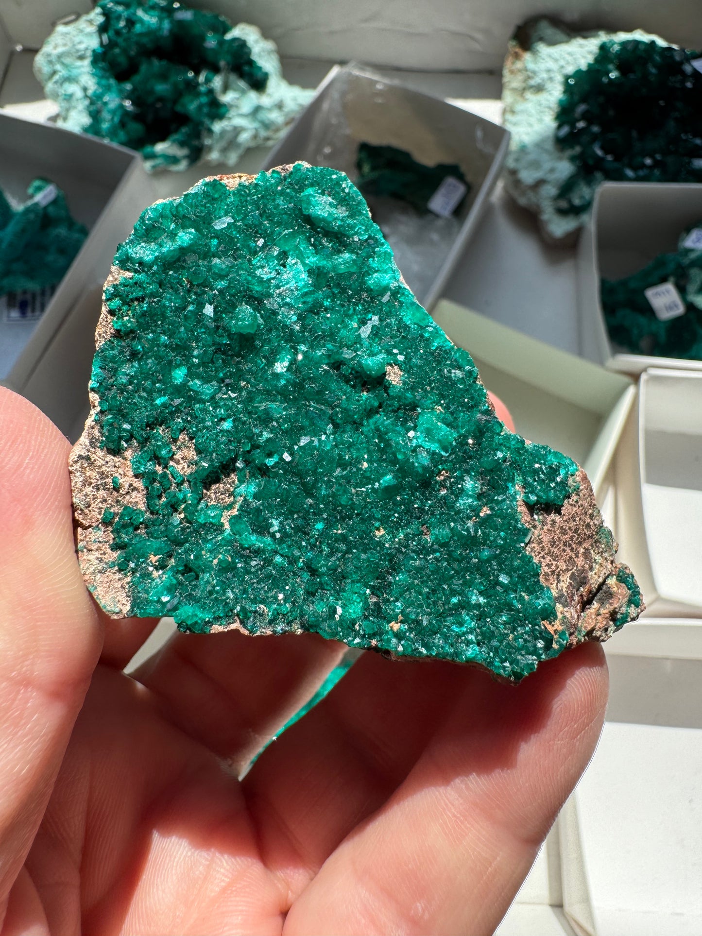 DIOPTASE (DI62)