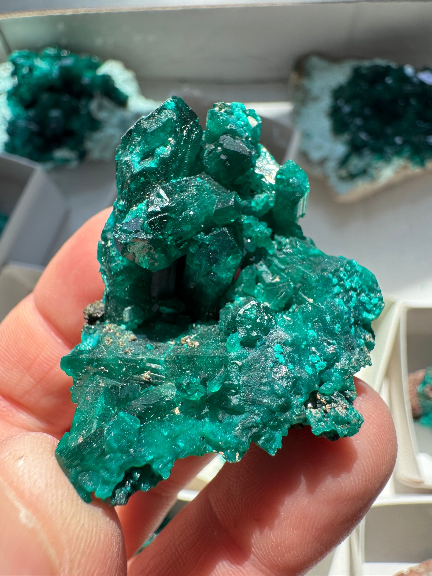 DIOPTASE (DI36)