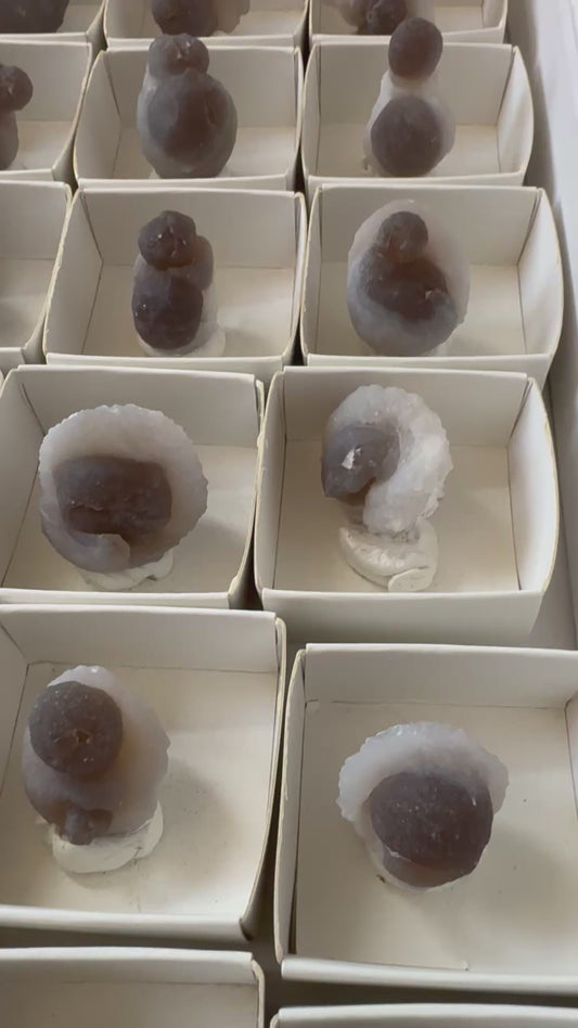 FREE FLAT THREE - CHALCEDONY POOPS