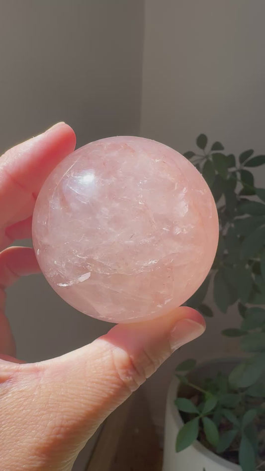 HEMATOID SPHERE (L19)