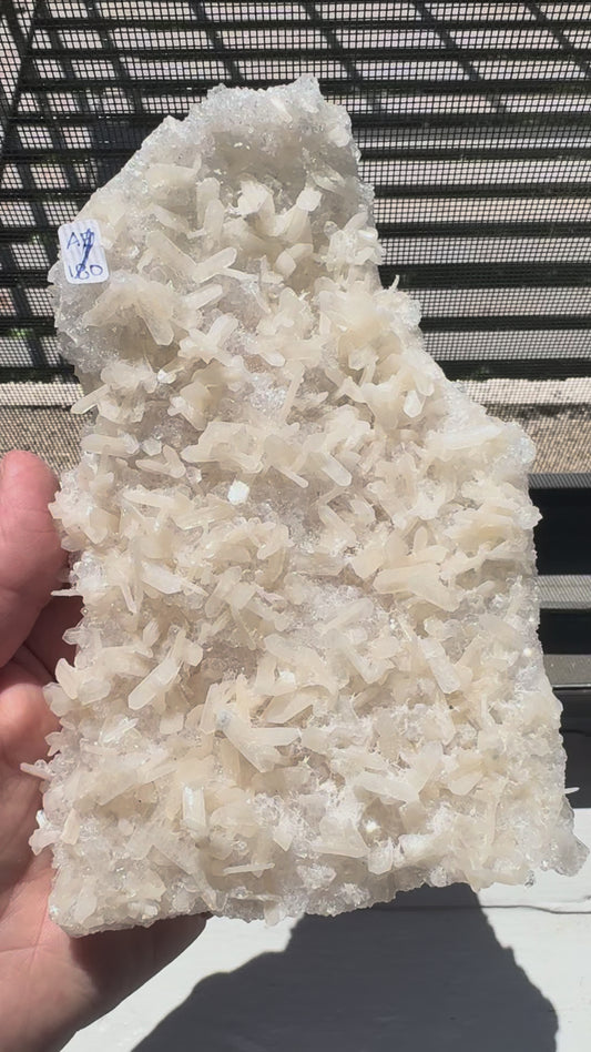 APOPHYLITE & STILBITE CRUST (DG25)
