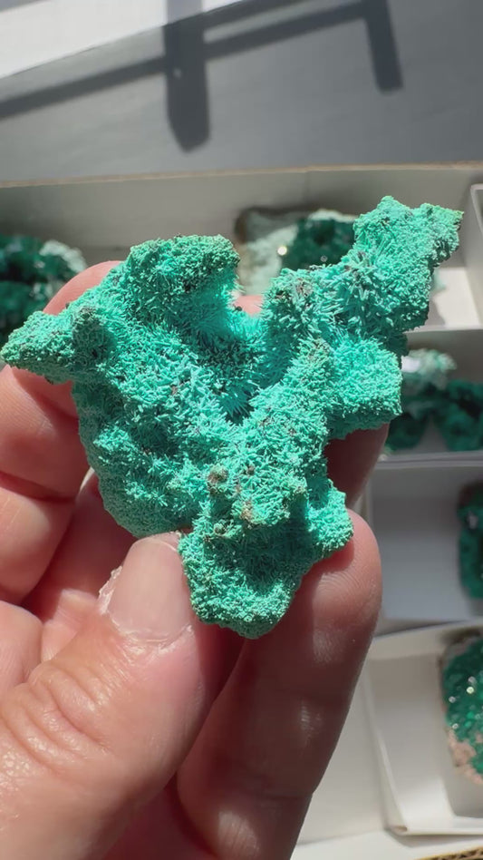 CHRYSOCOLLA PSEUDOMORPH (DI51)