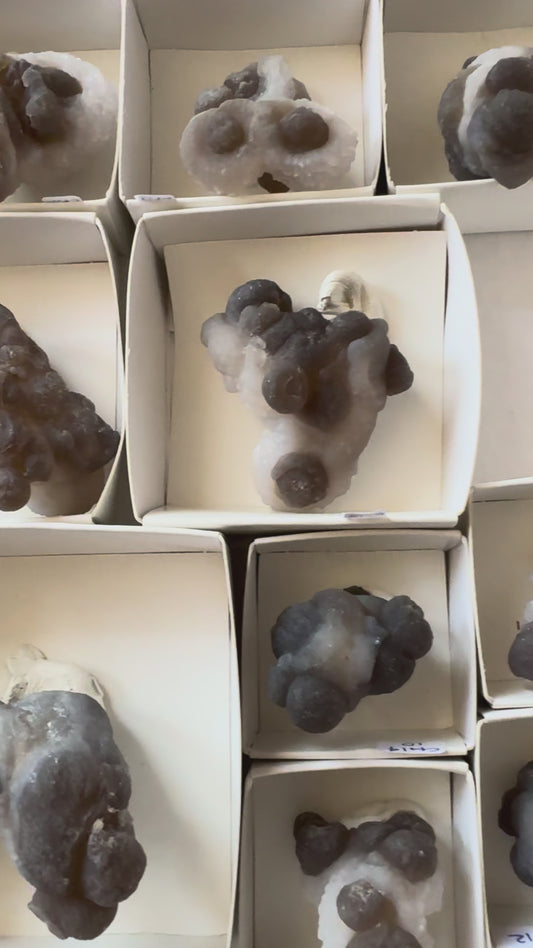 FREE FLAT TWO - CHALCEDONY POOPS