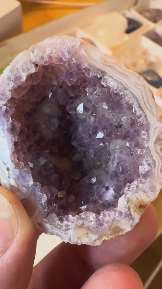 BABY AMETHYST GEODE (AY6)