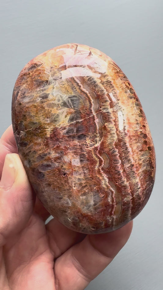AGATHYST PALM STONE (CT8)