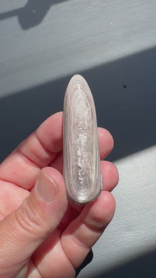 LEPIDOLITE WAND (H25)