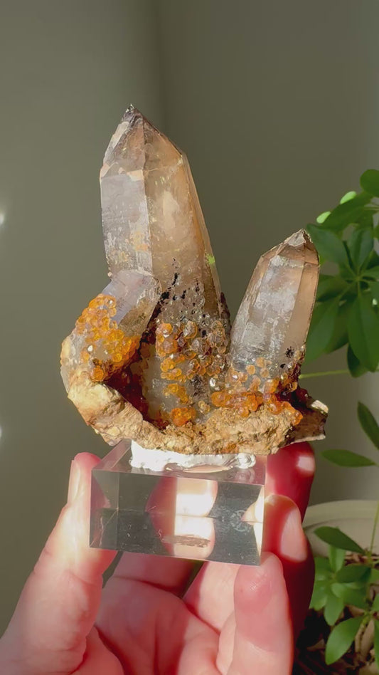 SPESSARTINE GARNET & SMOKY QUARTZ