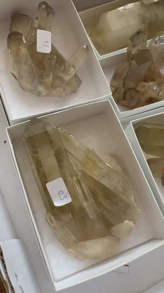 FREE FLAT FOUR - MOZAMBIQUE CITRINE