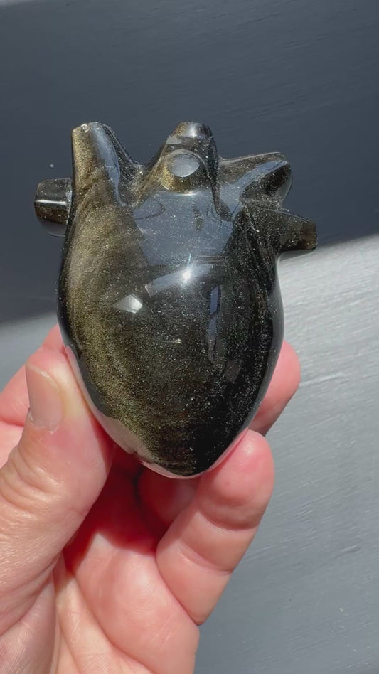 GOLD SHEEN OBSIDIAN ANATOMICAL HEART (GA50)