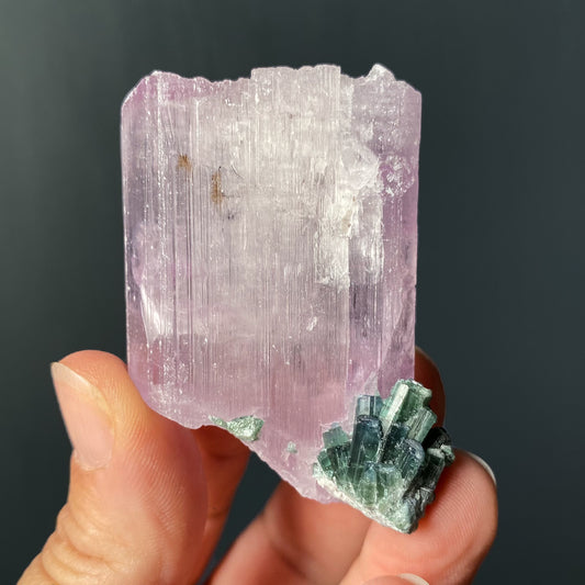 KUNZITE & TOURMALINE