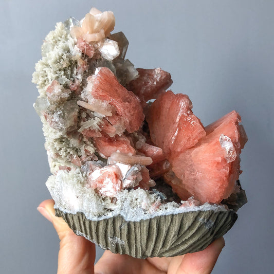 ZEOLITE