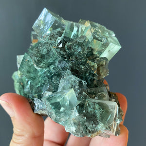 FLUORITE (MUSEUM QUALITY)