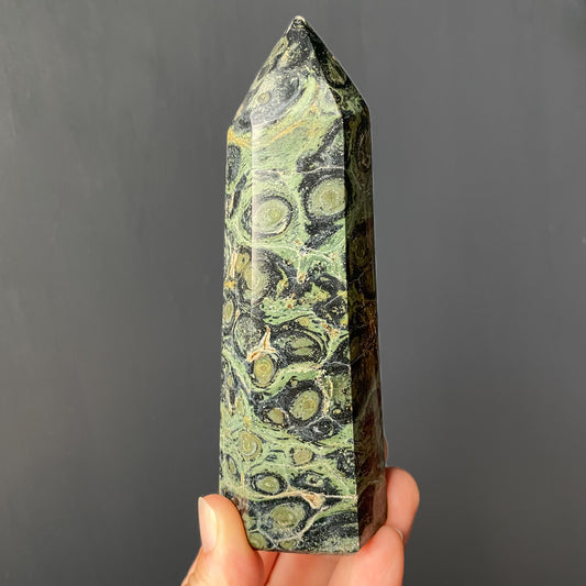 KAMBABA JASPER