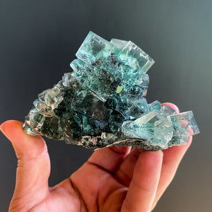 FLUORITE (MUSEUM QUALITY)